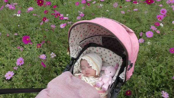 pink stroller