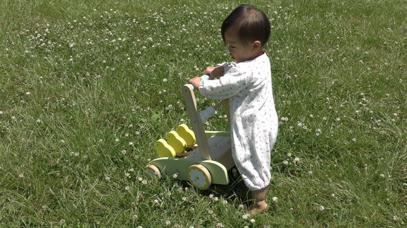 wooden baby walker